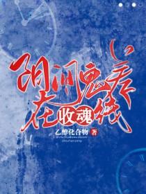 铁腕官途梁栋和何叶