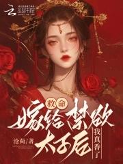 化龙沈迟主角免费阅读