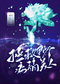 四合院厂霸