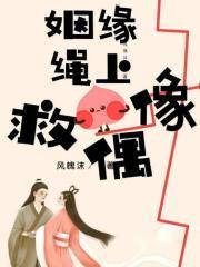 飞来破TXT
