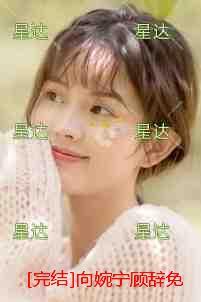 向婉宁顾辞