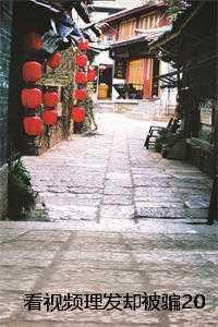 李树琳琳+
